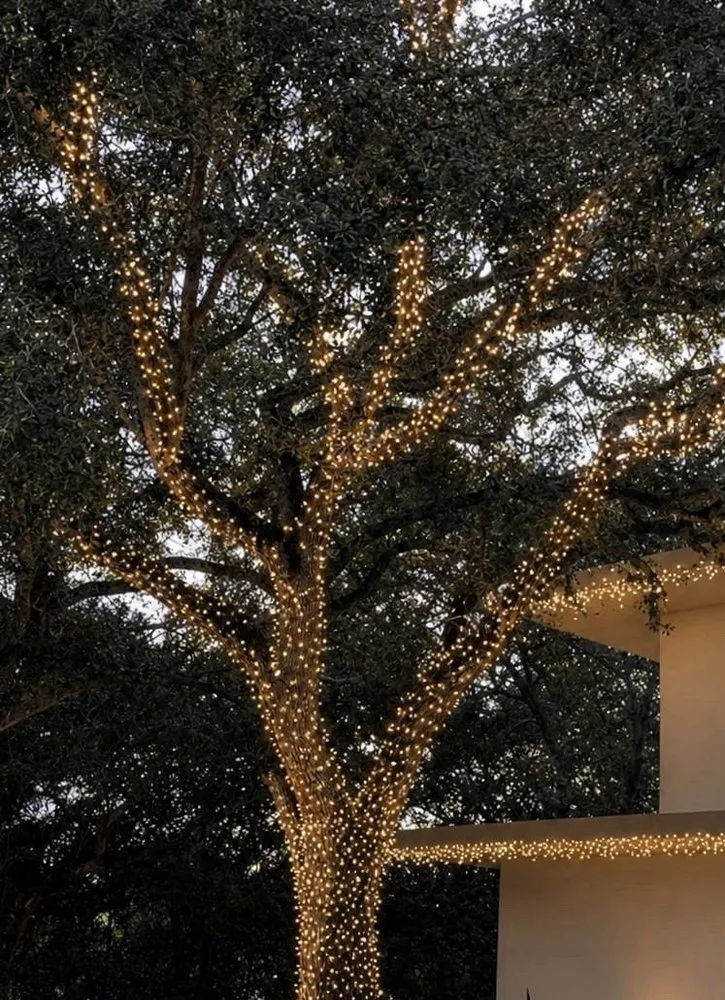 Mature front-yard tree wrapped in warm white Christmas lights beside a home with an illuminated roofline.