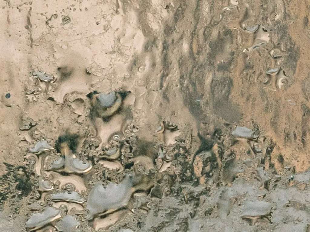 How to Install Outdoor Holiday Lights in Florida's Humid Weather