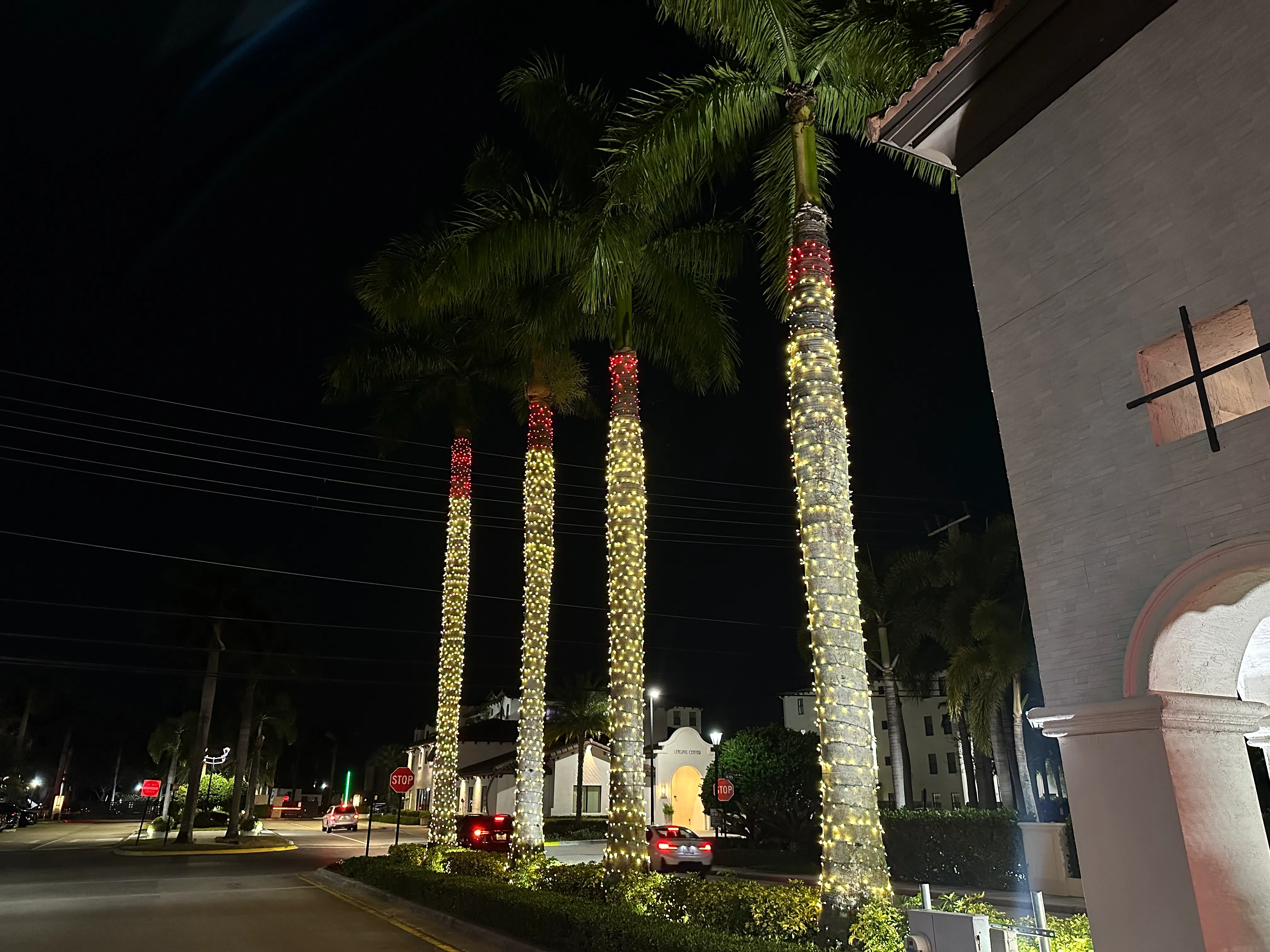 Tall palms wrapped in warm white Christmas lights with red accents beside a building entrance at night.